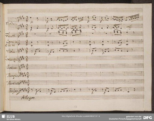 Quartetto: Viva viva l'allegria