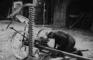 Fotografie: Pferdeanspannung, Mähmaschine, Futtererntetechnik