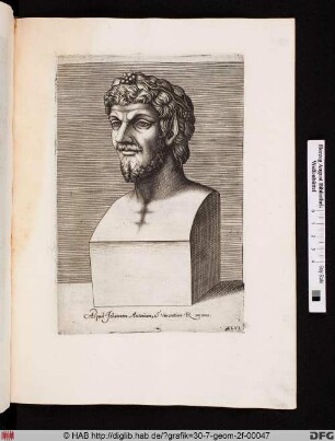Büste eines Satyrs.