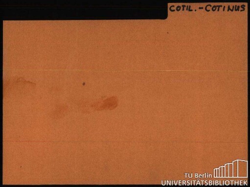 37: COT-CUN