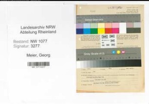 Entnazifizierung Georg Meier , geb. 30.01.1908 (Angestellter)