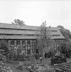 Drahtmühle nach Renovierung: vorn rechts Garten mit Vogelhaus: rechts dahinter zwei Stapel mit Holzbohlen und Brettern: in der Mitte Baum: links Büsche
