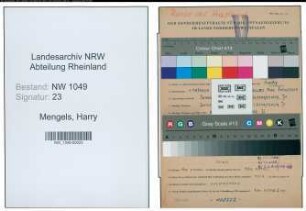 Entnazifizierung Harry Mengels , geb. 04.10.1899 (Kaufmaennischer Angestellter)