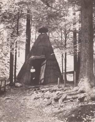 Tharandter Wald