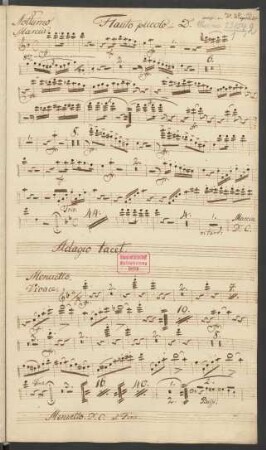 Flauto piccolo