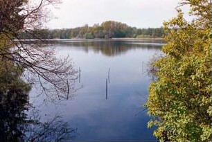 Grabauer See: Blick Richtung Norden: hinten gegenüberliegendes Ufer, Wald: 9. Mai 2003