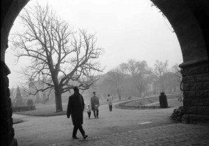 Novemberstimmung im Botanischen Garten.