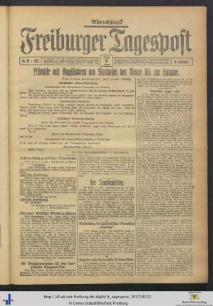 05.02.1917 (Abendblatt)