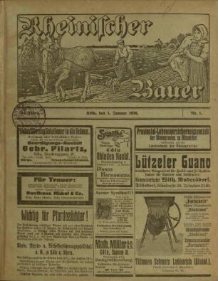 Rheinischer Bauer / 34. Jahrgang 1916 (unvollständig)