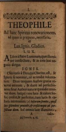 Theophilus Se Spiritu Renovans : Juxta directionem S. Ignatii Societatis Jesu Fundatoris In Libello Exercitiorum spiritualium