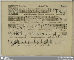 XXXVII. Sancta et immaculata