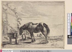 [Ein an einen Futtertrog angebundenes Pferd; Horse Bound to a Feeding-Trough; Un cheval devant une mangeoire]