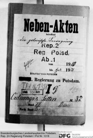 Die polnische Bewegung