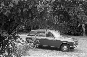 Worpswede : In Worpswede, Peugeot 304 Break