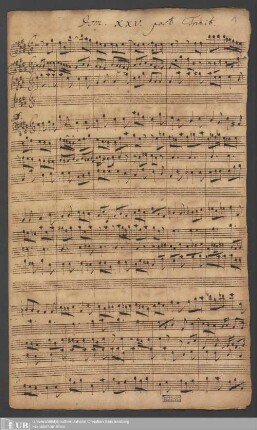 Ms. Ff. Mus. 1051 - Dom: XXV. post Trinit.