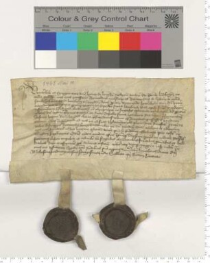 Dem Propst an St. Johannis zu Lüneburg Dr. Leonardus Langhe präsentieren die Vikare Brunoldus Malstorp und Bernardus de Lijdern als Testamentsvollstrecker des Vikars Hinricus Tetendorp den Verdener Kleriker Bernardus Bonigharden als Nachfolger des als Vikar am Marienaltar in der Lambertikapelle zurrückgetretenen Hinricus Rumeland.
