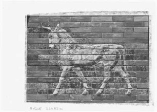 Berlin. Staatliche Museen, Vorderasiatisches Museum, Relief Schreitender Stier vom Ischtar-Tor