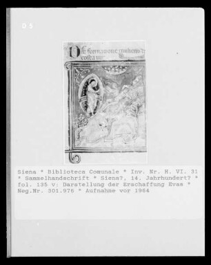 Sammelhandschrift — Darstellung der Erschaffung Evas, Folio fol. 135 v