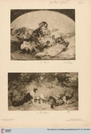 Tafel I – XXII