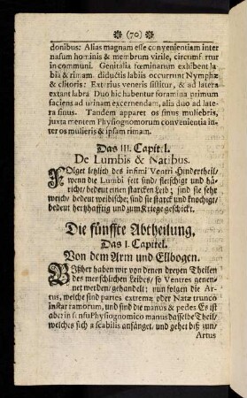 70-75, Die fünffte Abtheilung.
