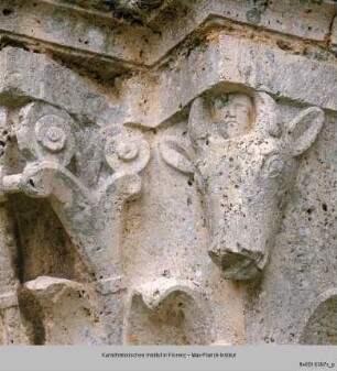 Zoomorphe und figürliche Kapitelle : Blattkapitell mit Stierköpfen