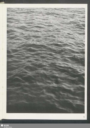 Wasser