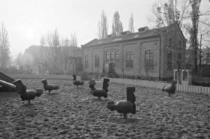 Spielplatz vor dem Museum im ehemaligen Zählerhaus