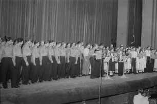 Nationales Kulturensemble der DDR : Akkordeonspieler während einer musikalischen Darbietung