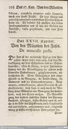 Das XXVII. Kapitel. Von den Mäuslein des Fußes. De musculis pedis