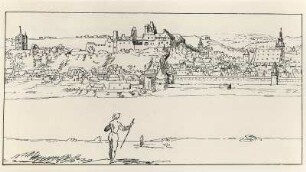 Pirna, Stadtansicht