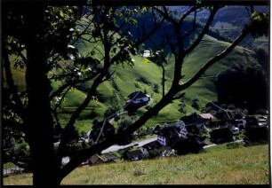 Münstertal: Untermüstertal durch Baumäste