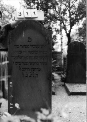 Grabstein 311