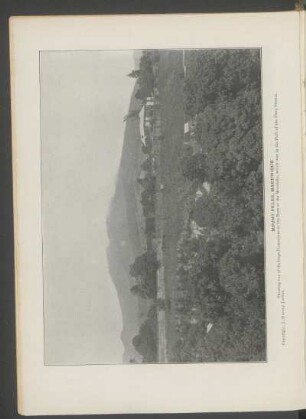Mount Pelée, Martinique. - [Photograph] : Showing one of the large plantations at the base of the mountain, which was in the path of the fiery stream. Copyright, J. Murray Jordan.