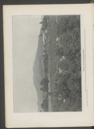 Mount Pelée, Martinique. - [Photograph] : Showing one of the large plantations at the base of the mountain, which was in the path of the fiery stream. Copyright, J. Murray Jordan.