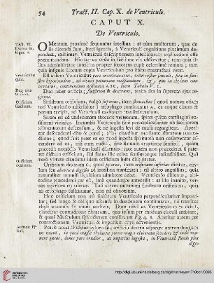 Caput X: De Ventriculo