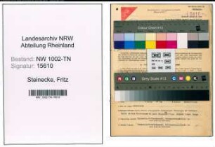 Entnazifizierung Fritz Steinecke , geb. 22.01.1900 (Ingenieur)