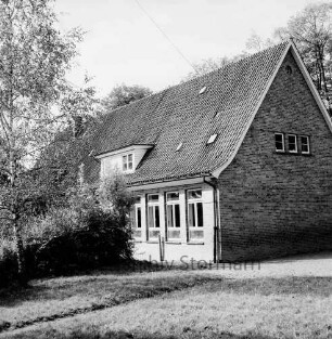 Volksschule: vorn Wiese: links Birke und Büsche