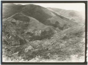 Yungaslandschaft bei Suri