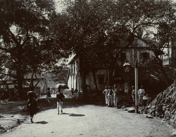 Village scene