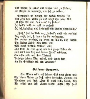 Seltsamer Spazierritt.