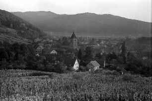 Staufen: Blick auf Staufen, Vordergrund Weinberg
