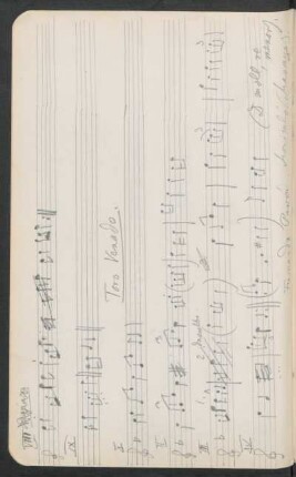 Toro Venado. - [Notas musicales]