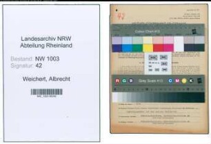 Entnazifizierung Albrecht Weichert , geb. 13.02.1907 (Metzger)