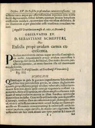 D. Sebastiani Schefferi