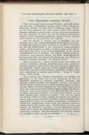 Ueber Hippuriphila simplicipes Kutsch.
