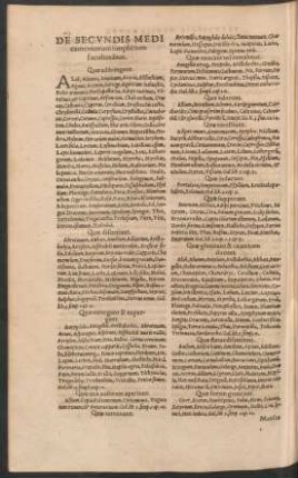 De Secundis Medicamentorum simplicium facultatibus.