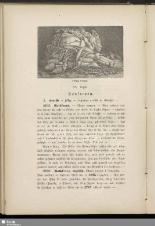 XV. Kapitel. Konserven