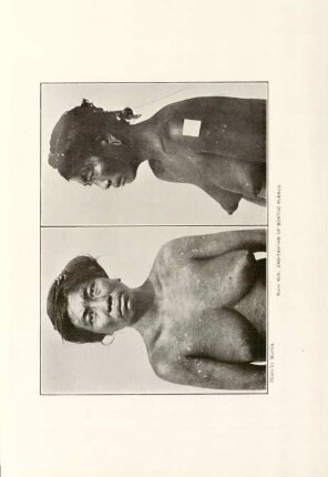 Plate XVII. Zag-taf'an of Bontoc pueblo