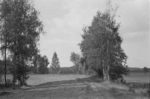 Landschaft um Schleife. : Krajina wokoło Slepeho.
