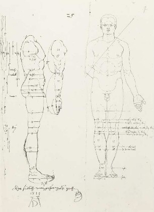Mann seitlich nud von vorn mit Proportionslinien : Dresdner Skizzenbuch (1507/1528). Mann seitlich nud von vorn mit Proportionslinien (aus: R. Bruck: Das Skizzenbuch von Albrecht Dürer, Straßburg 1905, Tafel 27, Blatt 117r, Str. 56, Kriegsverlust). Dresden: SLUB Mscr.Dresd.R.147.f